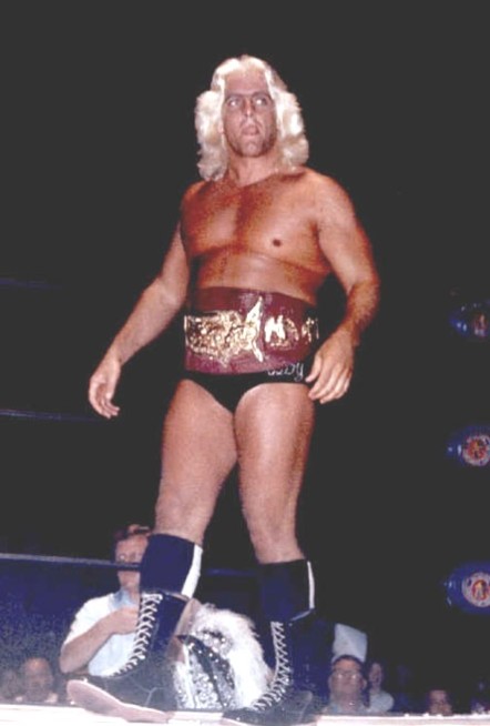 Old Ric Flair